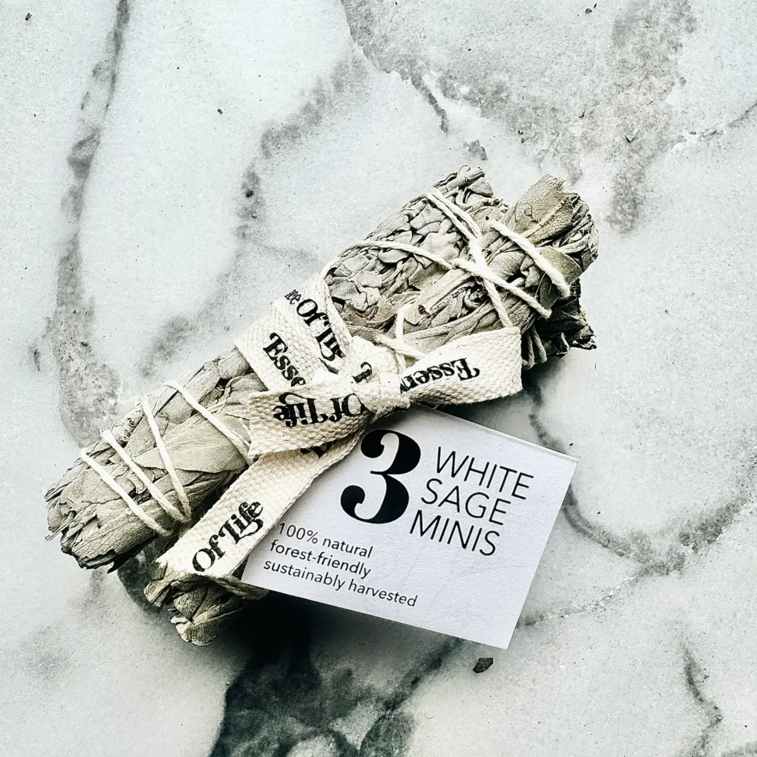 Forest-Friendly White Sage Minis, (Set of 3)